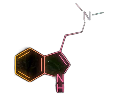3D model of the DMT molecule